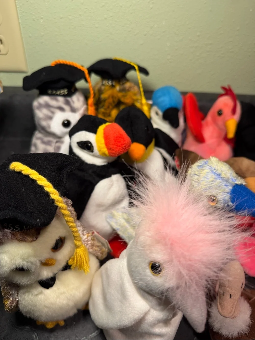 Ty Beanie Babies Bird and Graduation Owl Collection